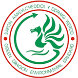 green dragon logo